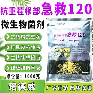 抗重茬根部急救120p生根壮苗提苗壮苗松土抗根腐重茬黑皮土传病害