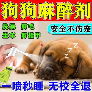 狗狗麻醉镇定剂快速睡眠一闻倒晕狗的药流浪狗情绪安抚镇静剂喷雾