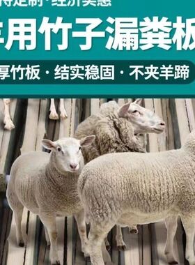 羊床板羊圈用羊h粪板竹架板竹板竹子养羊床竹制地板漏粪板架子加