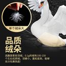 原料98绒 厂家直供白色98%吊吊鹅绒水洗羽绒羽毛大朵被子服装
