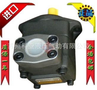 台湾KCL油泵SVQ45-189-FRAA-01 SVQ45-200-FRAA-01