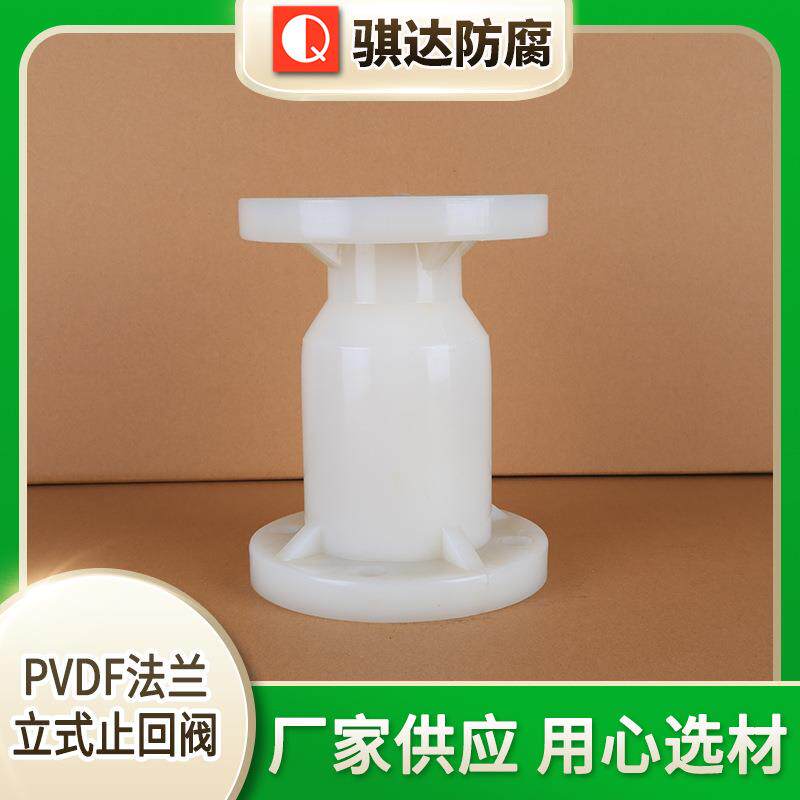 供应PVDF法兰立式止回阀规格多样贴心售后