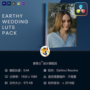 达芬奇专业影视色彩工具 复古婚礼电影级LUT调色预设包