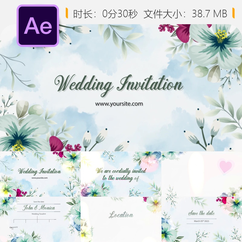 浪漫婚礼邀请AE模板花卉手绘优雅新娘开场视频优雅花卉动画效果