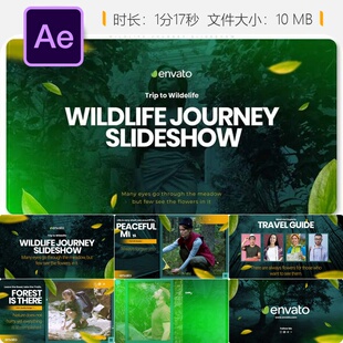 野生动物纪录片AE模板国家地理沙漠旅行幻灯片展示稀有动物世界