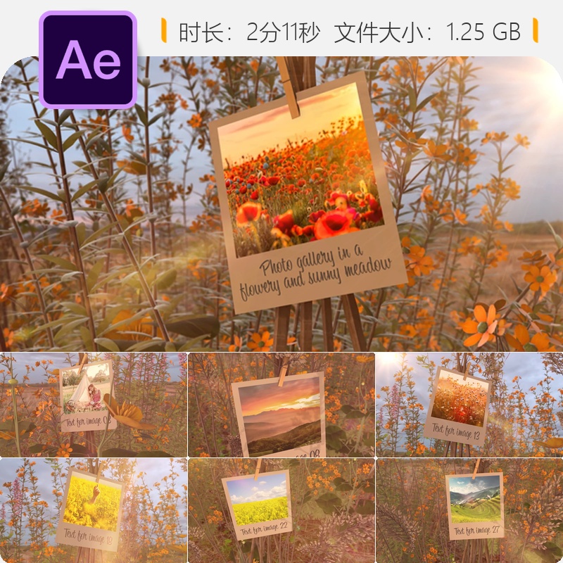 阳光花海照片展示AE模板3D家庭婚礼美丽草地温馨光效婚礼相册