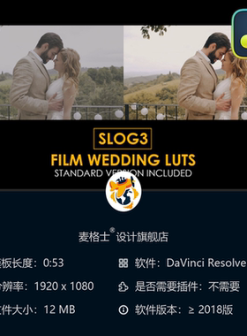 Slog3电影婚礼调色预设 专业级色彩校正LUT合集 达芬奇