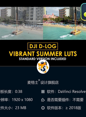 大疆DLog夏日色彩LUT达芬奇调色预设航拍电影感风格合集海滩场景