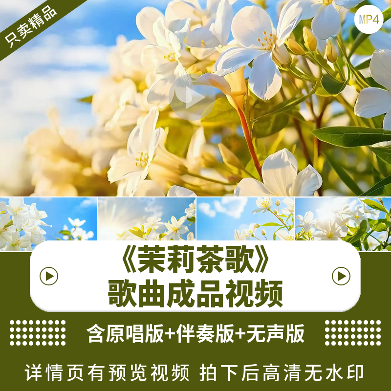茉莉茶歌宽屏背景高清视频素材