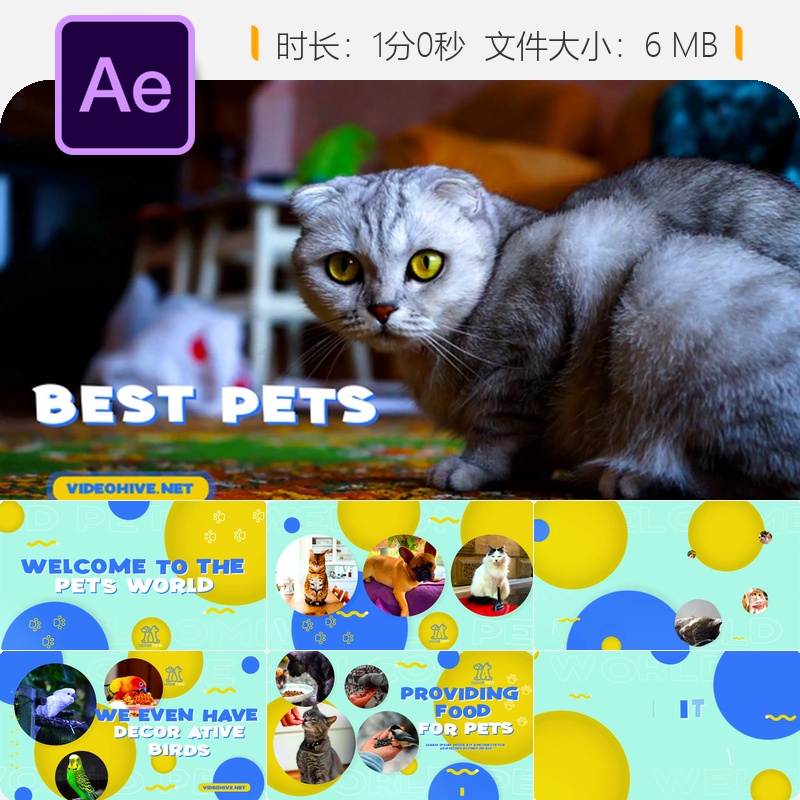 AE模板宠物领养公益宣传片动物救援幻灯片视频素材AE工程文件
