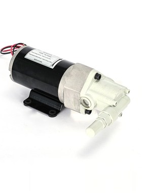 VNLP能力电动加油泵12V/24V/220V直流齿轮泵小型抽油泵三角泵电机