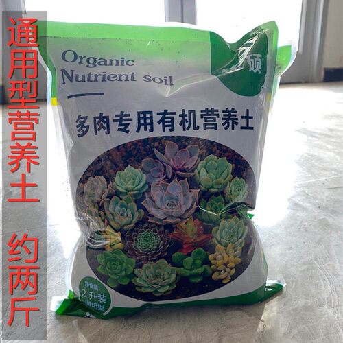 园艺工具家用修枝剪树木花草修剪剪刀 花剪 手动绿化剪刀