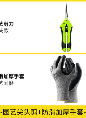 修枝剪花艺加长剪刀盆景花枝修剪工具园艺剪枝专用剪葡萄水果果蔬