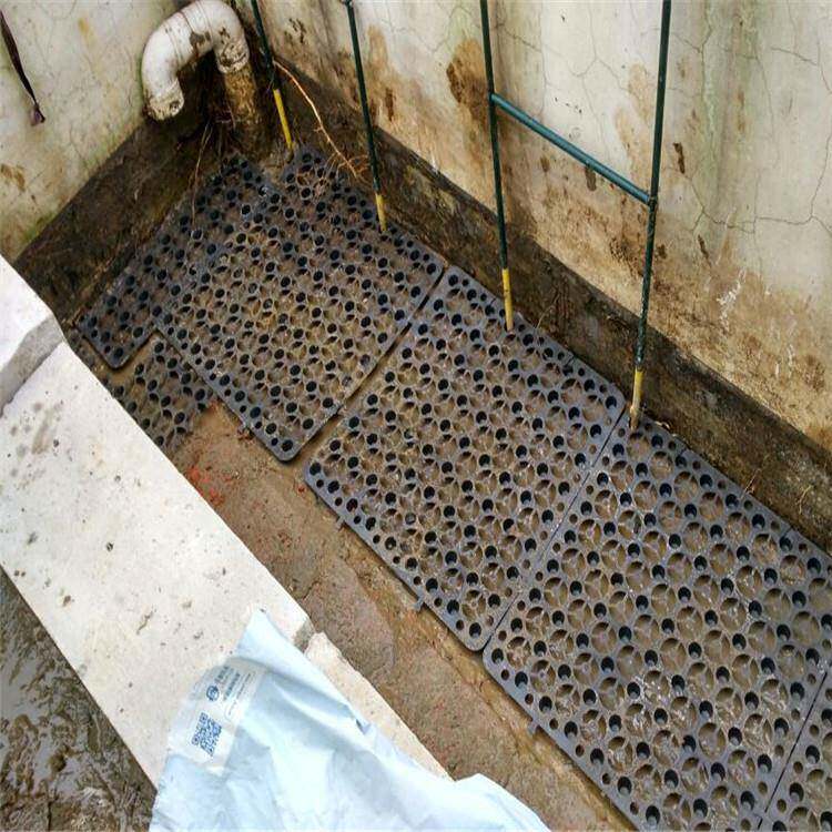 土工布面阻根防穿刺膜屋顶花园种菜楼顶绿化蓄排水板隔热排水板