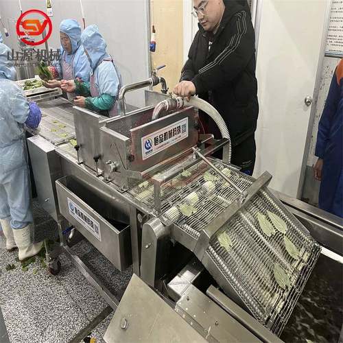 全自动桑叶裹浆机 香酥翠叶油炸设备 桑叶裹浆油炸流水线