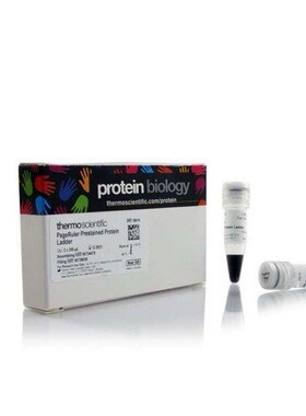 THERMO赛默飞预染蛋白分子量标准 26616