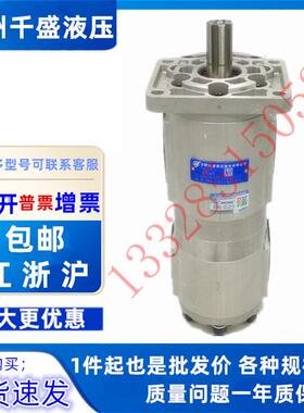 合肥长源双联泵CBNL-F532/F510-BFH环卫车配件CBNL-F540/F520-BFP