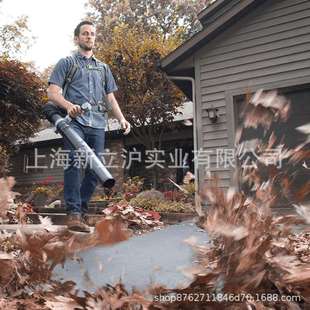 EGO 吹风机LB6000E电动鼓风机吹尘机吹树叶吹雪 56V锂电无刷背负式