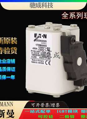 巴斯曼170M4443 170M4444 170M4445 厂家直供 零售 高速熔断器