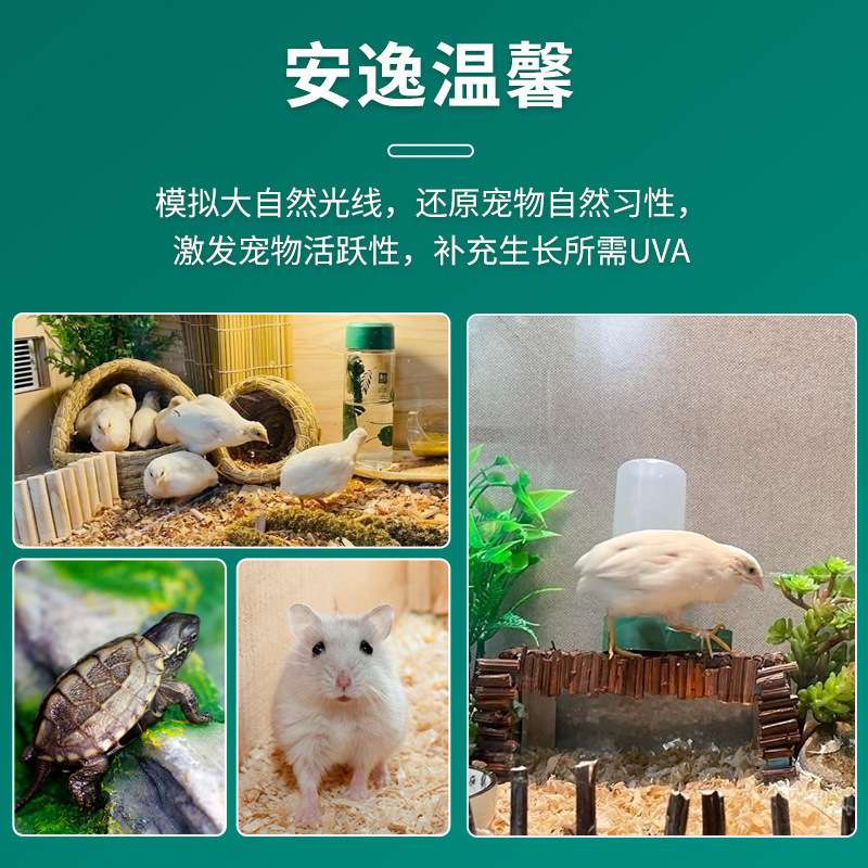 芦丁鸡冬季保温灯小鸡温控器陶瓷加热育雏加温保暖灯养殖取暖灯泡