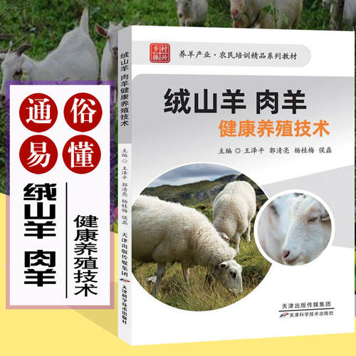 绒山羊 肉羊健康养殖技术 养羊技术大全书籍 羊病诊疗与处方手册 预防诊断科学生态饲养黑山羊波尔山羊牛羊病基础知识书