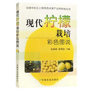 现代柠檬栽培彩色图说 柠檬种植技术柠檬树栽培种植技术大全书籍果树修剪整形果园管理病虫害防治施肥管理百科知识大全