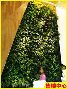 厂室内户外垂直立体绿化生态植物墙花盆施工深圳广州绿植墙盒子库