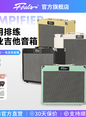 FOALS电吉他音箱FW20/10新手入门练习排练演出室内演奏音响家用