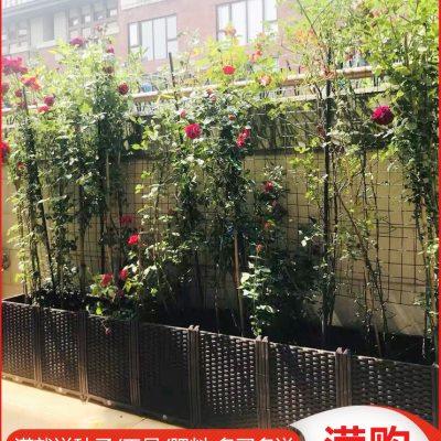 特深阳台蔬菜种植箱家庭有机蔬菜种植槽阳台种菜盆特大花盆花箱