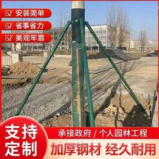 树木支架镀锌钢管支撑架防风放倒苗木支撑架固定器源头工厂