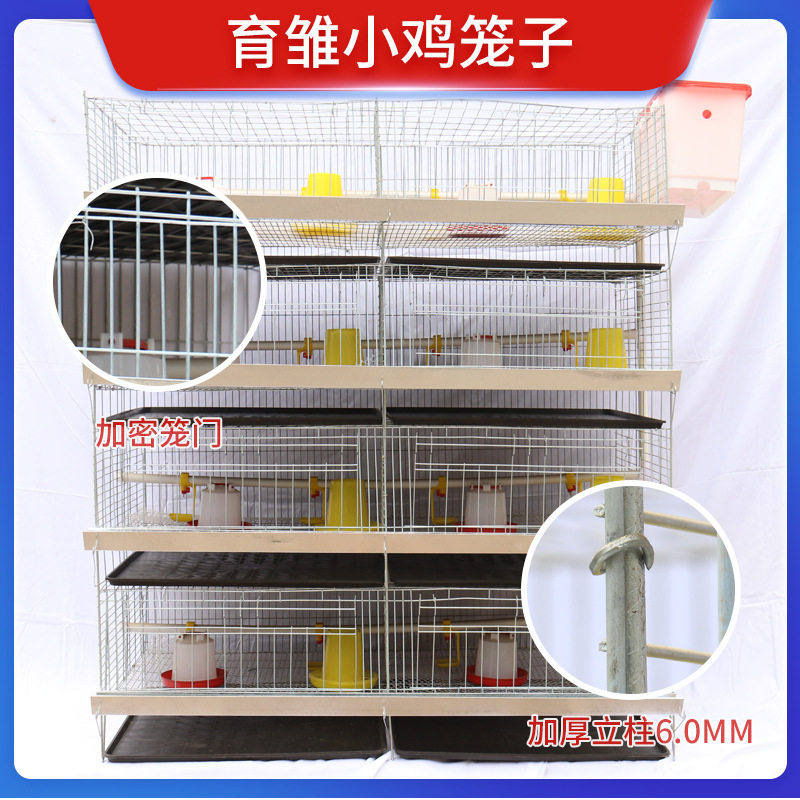 小鸡育雏笼4层立式雏鸡笼大型育雏鸡鸭鹅笼子鸡笼养殖笼厂家