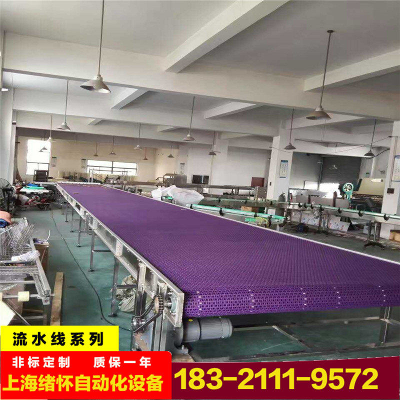 上海厂家瓜果蔬菜清洗机输送线