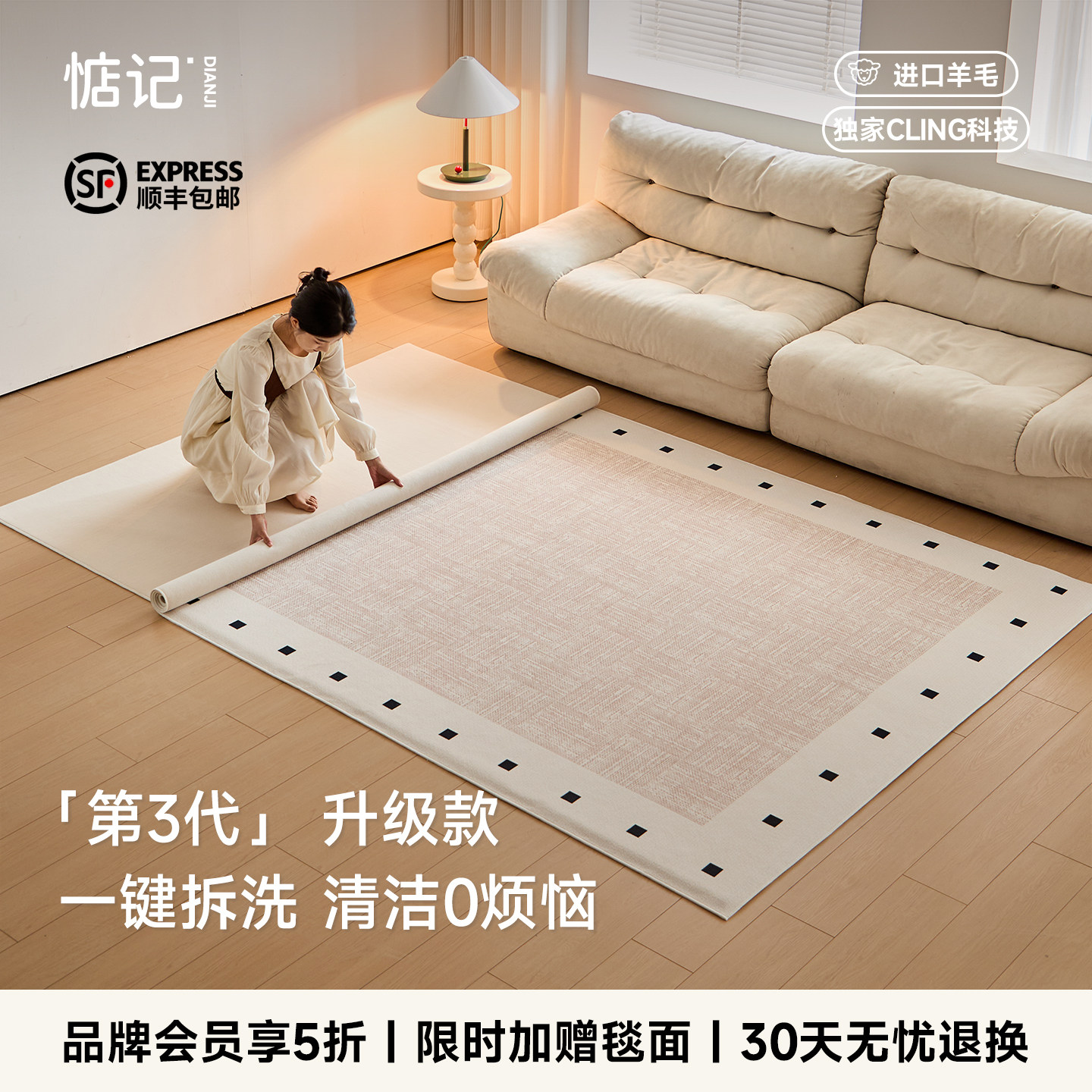 惦记客厅可拆洗地毯可拆洗进口羊毛地毯天鹅堡2025新款轻奢高级