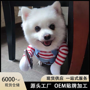 搞怪滑稽命狗狗衣服万圣节宠物变身装万圣节宠物服装狗狗搞怪衣服