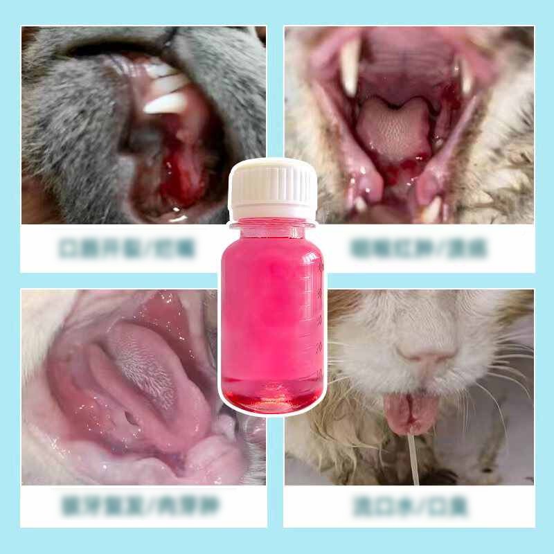 发猫猫口16517口猫腔喷腔牙猫剂咪口腔猫咪狗牙咪猫咪炎口龈口喷