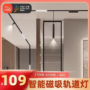平头熊智能磁吸轨道灯泛光灯格栅灯线条灯led无主灯
