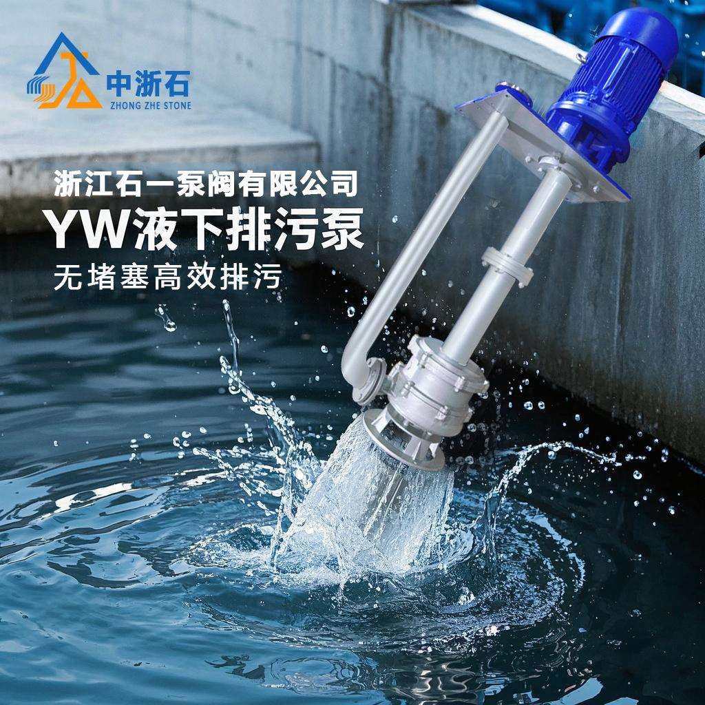 废水液下抽水泵工业污水处理泵长轴无堵塞液下排污泵双套机械密封,鲜花速递/花卉仿真/绿植园艺,割草机/草坪机,淘宝优惠券,粉丝福利购,淘宝优惠卷