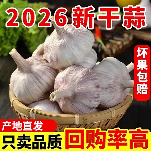 开封杞县农家自种紫皮大蒜头干蒜
