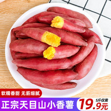 新鲜红薯正宗临安天目山小香薯5斤板栗番薯手指地瓜蔬菜甘薯山芋