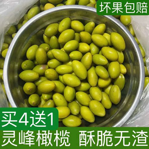 潮汕灵峰橄榄酥脆清甜金灶新鲜现摘生吃甘甜青橄榄果正宗特产