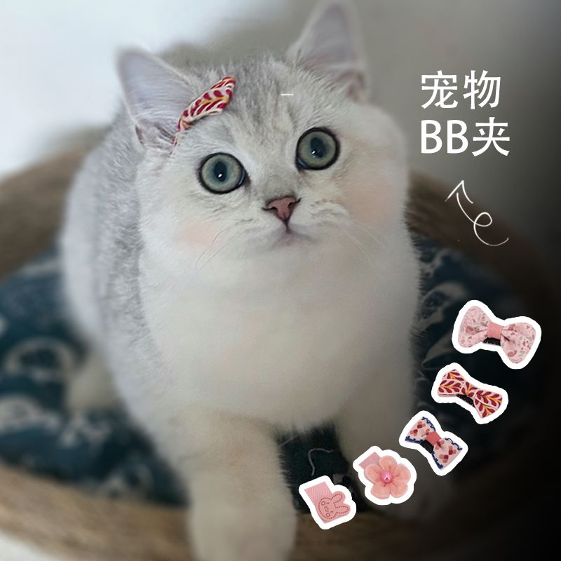猫狗可爱蝴蝶结小BB发夹宠物专用头饰小型猫咪狗狗装饰迷你发卡