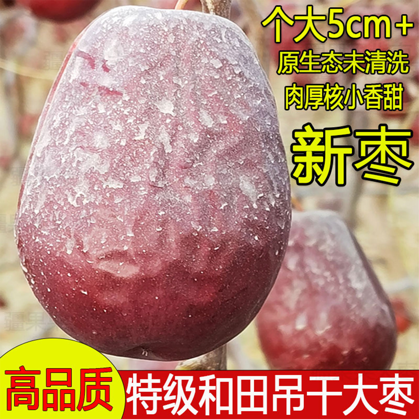 新疆和田特级大枣未清洗超大新枣