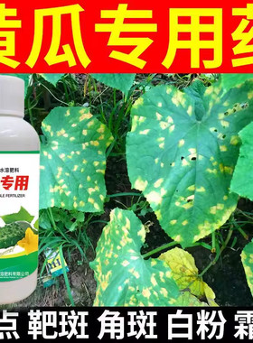 黄瓜专用杀菌剂靶斑霜霉灰霉