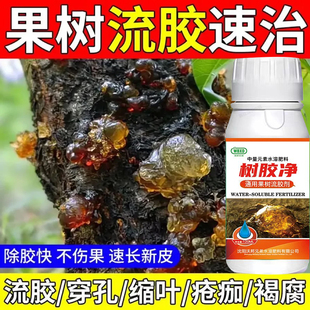 流胶穿孔一喷净桃树流胶病专用药油桃果树腐烂病流胶穿孔净