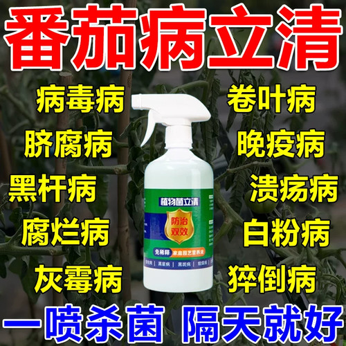 番茄病毒病杀菌剂防卷叶炭疽