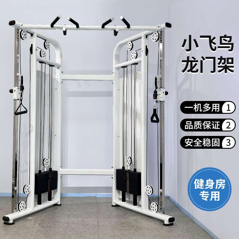 小飞鸟龙门架综合训练器健身房引体向上高拉背力量器械双臂机家用