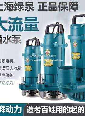 家用220V纯铜水泵农用单相农用灌溉小型潜水泵高扬程大流量抽水机