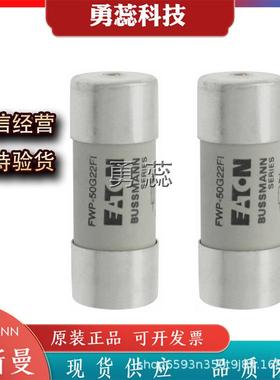 快速熔断器FWP-50G22FIFWP-63G22FIFWP-80G22FI