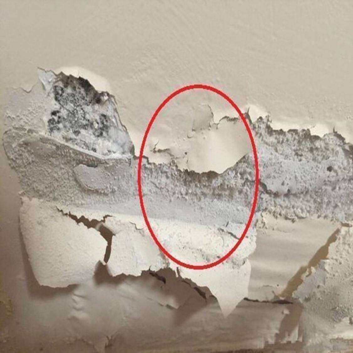 2F白漆天花板欧式填补墙贴补洞潮湿墙壁发霉老房子地板掉皮膏粉墙