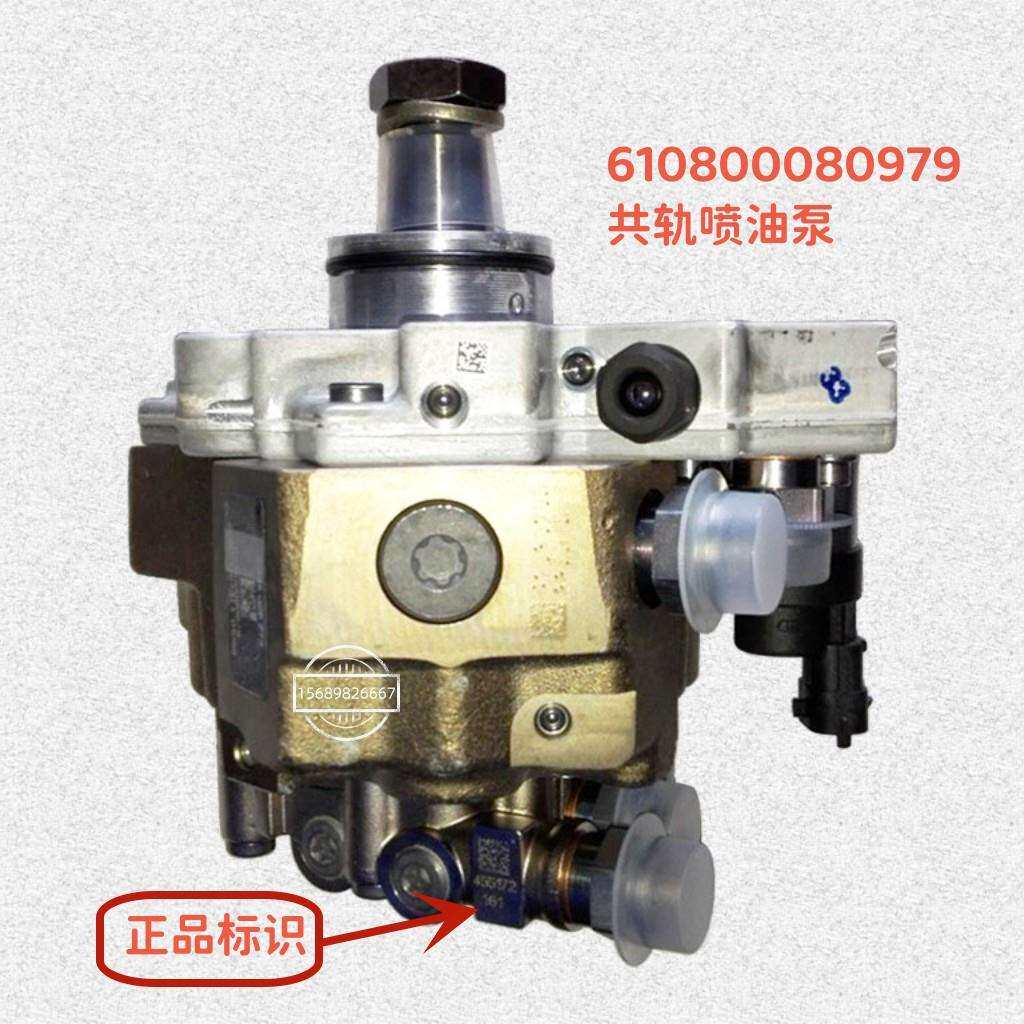 共轨喷油泵610800080979潍柴WP5/WP7柴油发动机原厂装机件